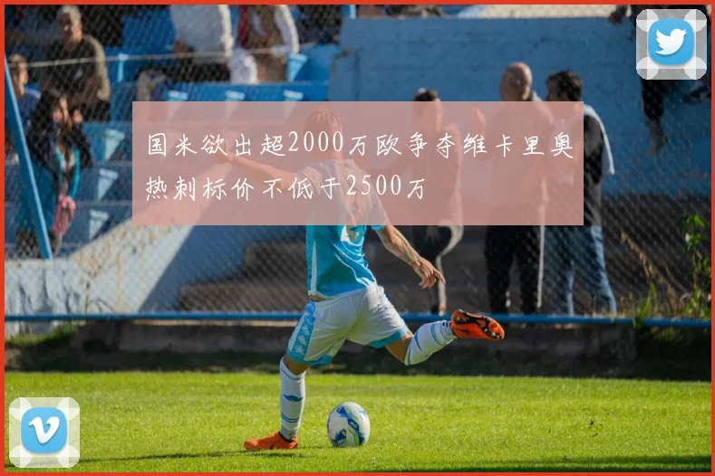 国米欲出超2000万欧争夺维卡里奥热刺标价不低于2500万