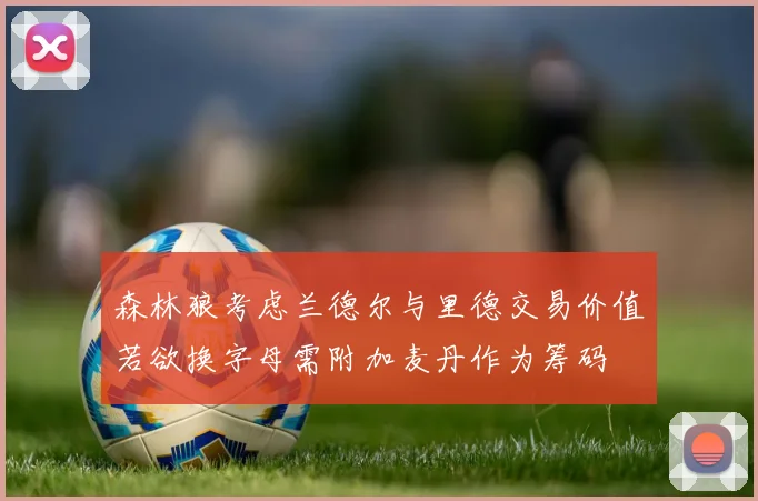 森林狼考虑兰德尔与里德交易价值若欲换字母需附加麦丹作为筹码